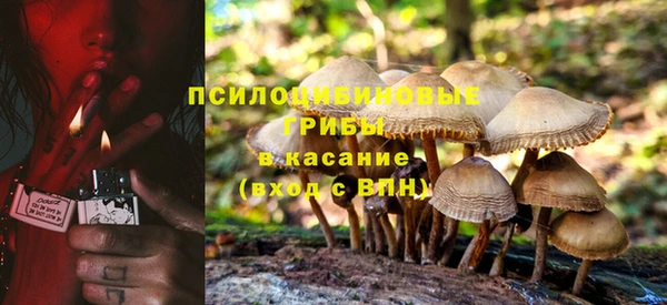 крисы Беломорск
