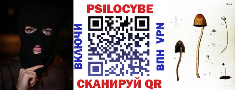 купить наркотик Городище Псилоцибиновые грибы Psilocybe